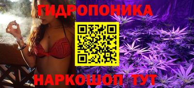 дмт Волжск
