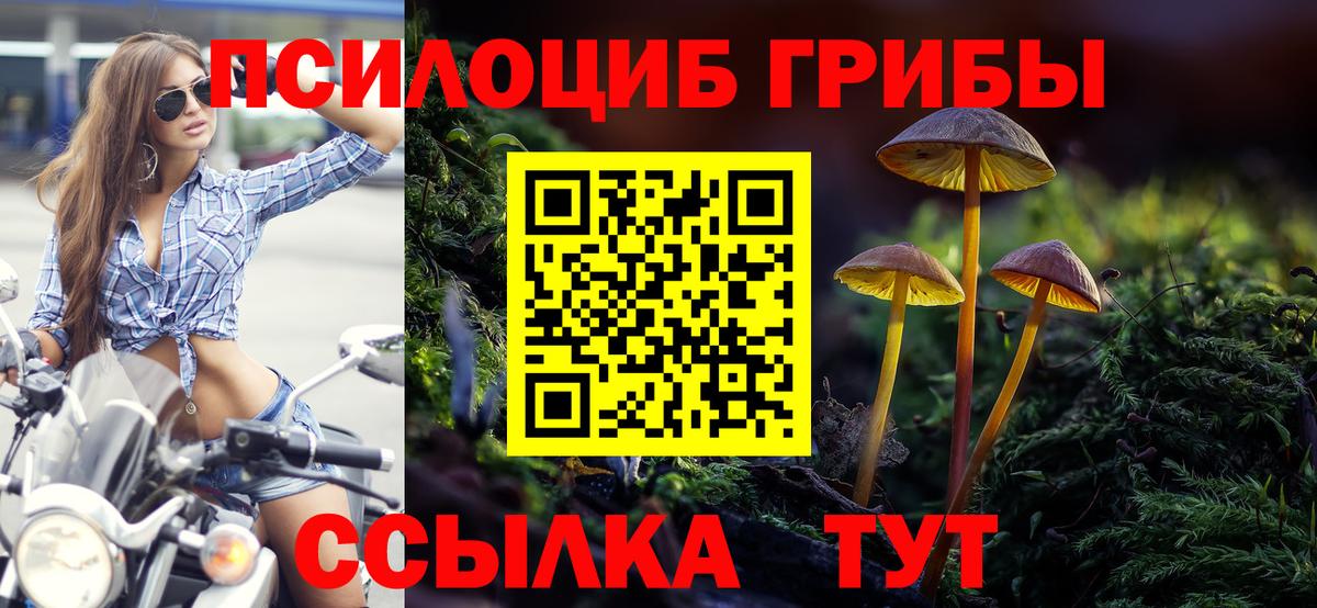Кокаин Вышний Волочёк