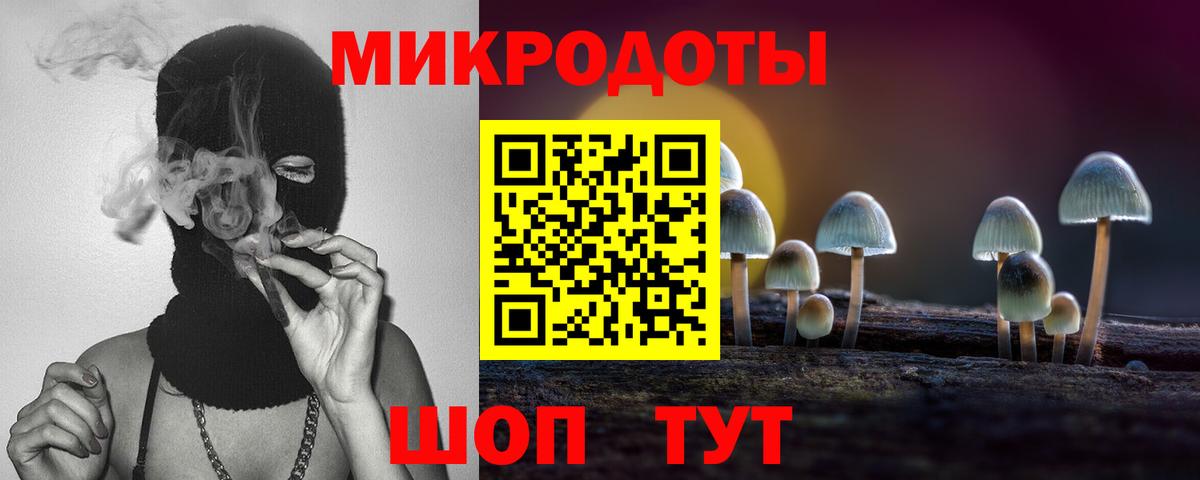 Псилоцибиновые грибы GOLDEN TEACHER  Вход с VPN  где купить наркотик  Вышний Волочёк 