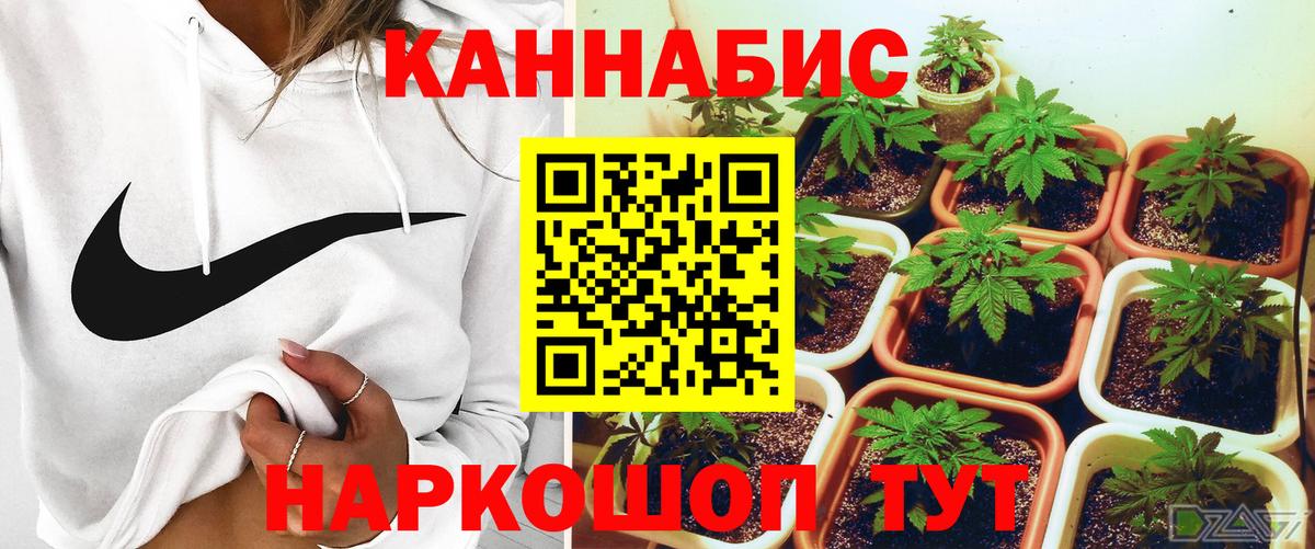 Шишки марихуана VHQ Вышний Волочёк